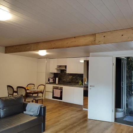 Spacieux Studio 38M2 Les Paccots Exterior photo
