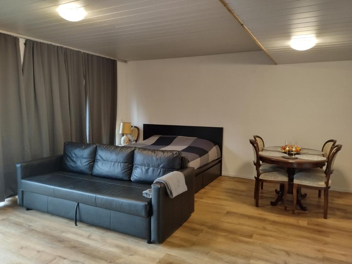 Spacieux Studio 38M2 Les Paccots Exterior photo